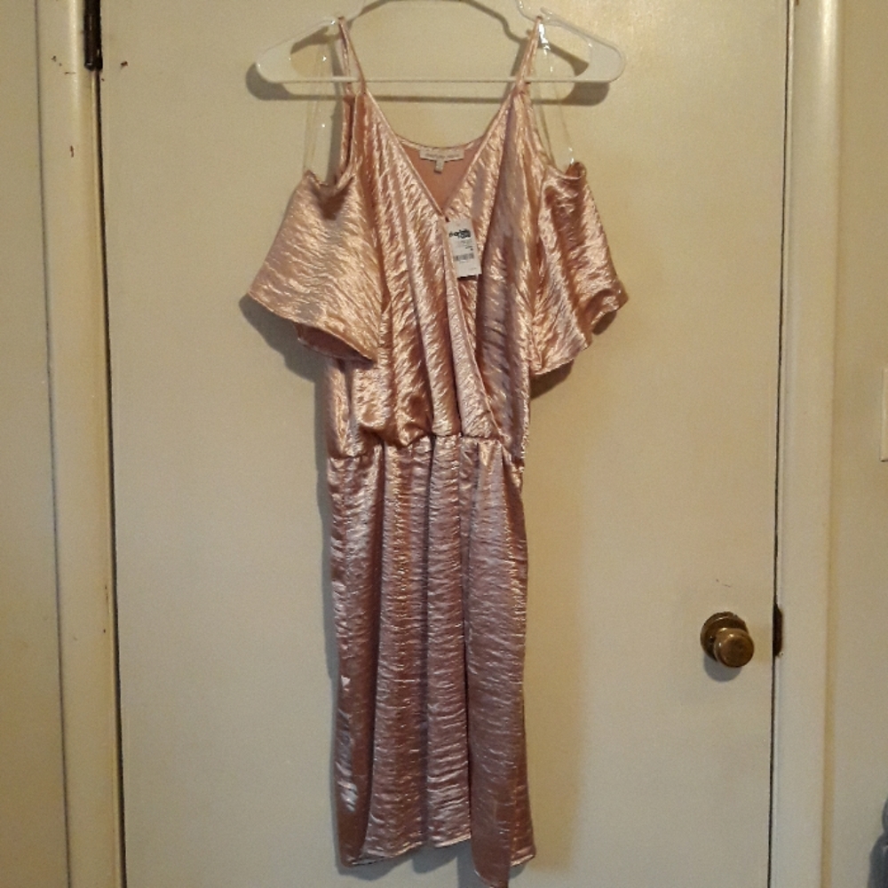 Charlotte Russe pink dress - Picture 3 of 8